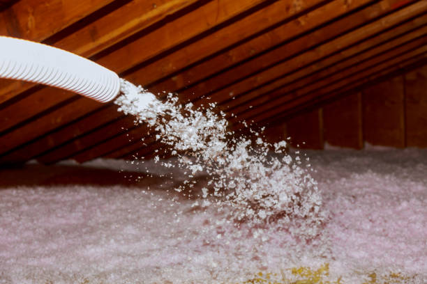 Best Energy Efficiency Solutions in Parkers Prairie, MN